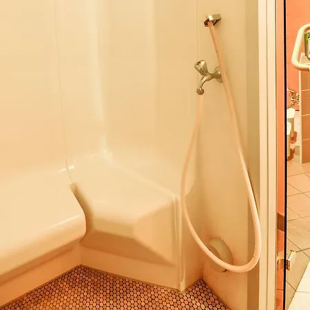 Appartementhotel Hechenberg 아파트호텔 잘바흐 힌터글렘