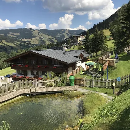 Appartementhotel Hechenberg 4*